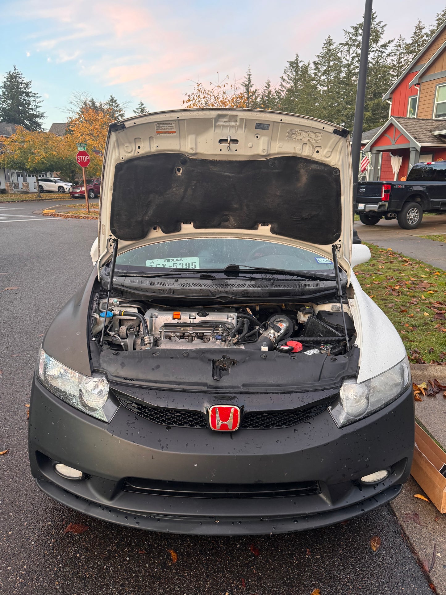 'ThatKidRBM' 8th & 9th Gen Civic Carbon Fiber Hood Struts