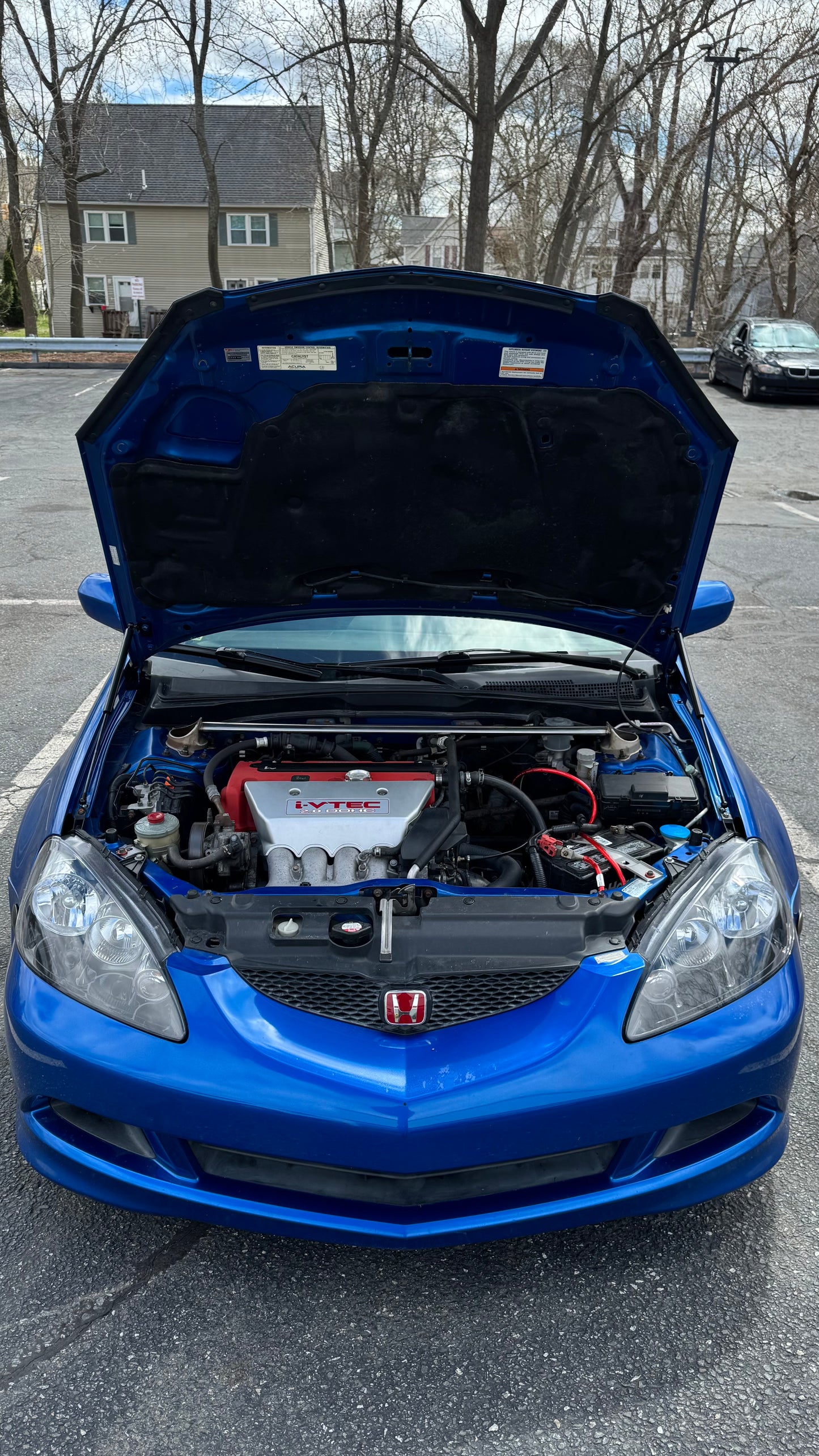 'ThatKidRBM' RSX/DC5 Carbon Fiber Hood Struts