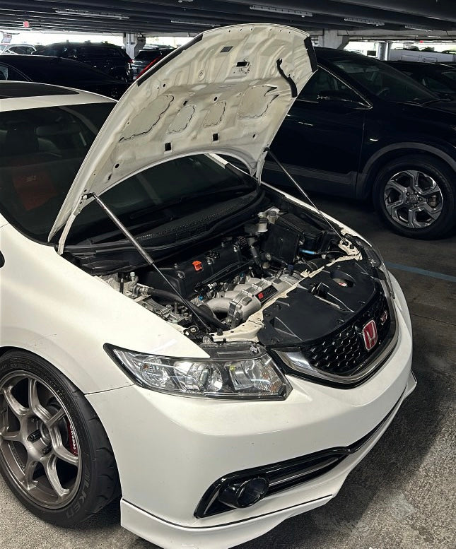 'ThatKidRBM' 8th & 9th Gen Civic Carbon Fiber Hood Struts